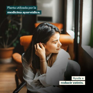 PACK ASHWAGANDHA + MELENA DE LEON - 120 CAPSULAS KARUN LIFE - 10