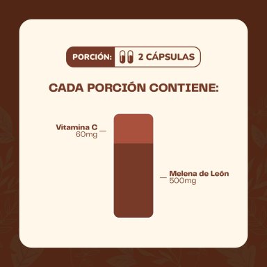PACK ASHWAGANDHA + MELENA DE LEON - 120 CAPSULAS KARUN LIFE - 9