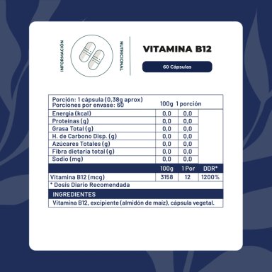 VITAMINA B12 60 CAP KARUN LIFE - 2