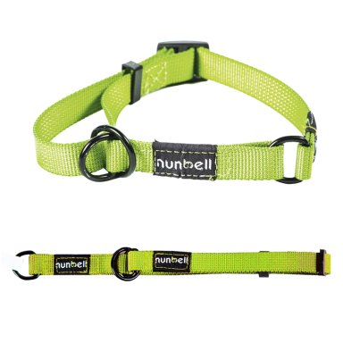 COLLAR GATO PERRO RESISTENTE AJUSTABLE VERDE - 4