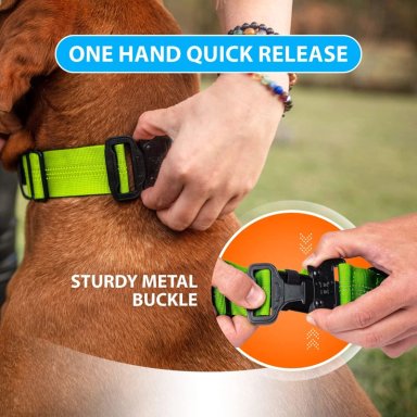 COLLAR GATO PERRO RESISTENTE AJUSTABLE VERDE - 5