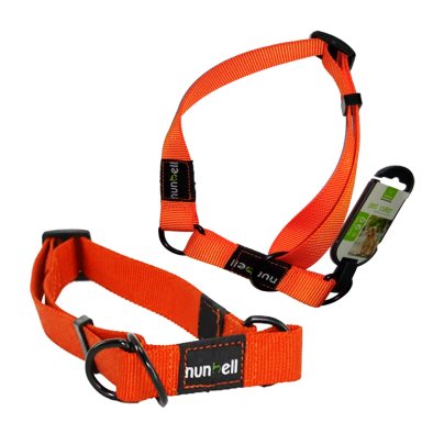 COLLAR GATO PERRO RESISTENTE AJUSTABLE NARANJO - 4