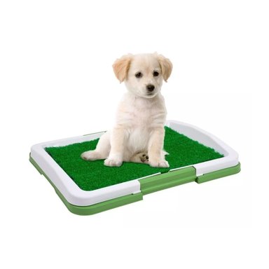 BAÑO PERROS IMPORTCLICK MAS.28 ENTRENAMIENTO CACHORROS LAVABLE MASCOTAS NEGRO - 4