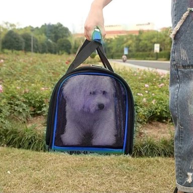 CANIL PERROS BOLSO TRANSPORTE IMPORTCLICK AZUL 34X24X23 CM - 4