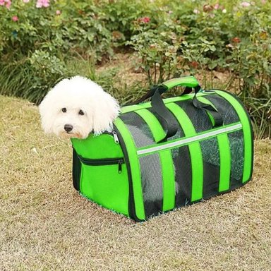 CANIL PERROS BOLSO TRANSPORTE IMPORTCLICK VERDE 34X24X23 CM - 4