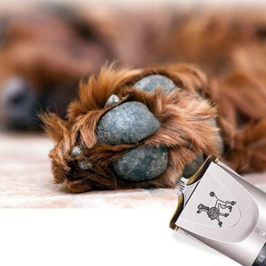 CORTA PELO PERROS IMPORTCLICK MAS.42 MAQUINA AFEITADORA MASCOTAS - 6
