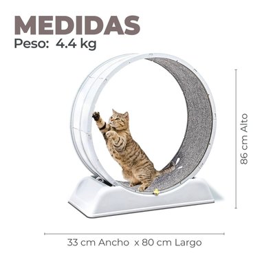 RUEDA PARA GATO SEGURA XXL DE ENTRENAMIENTO - 2