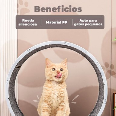 RUEDA PARA GATO SEGURA XXL DE ENTRENAMIENTO - 3