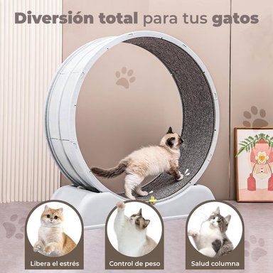 RUEDA PARA GATO SEGURA XXL DE ENTRENAMIENTO - 4