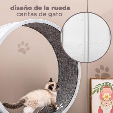 RUEDA PARA GATO SEGURA XXL DE ENTRENAMIENTO - 5