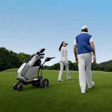 CARRITO DE GOLF ELE CTRICO NAVEE BIRDIE 3X NEGRO - 3
