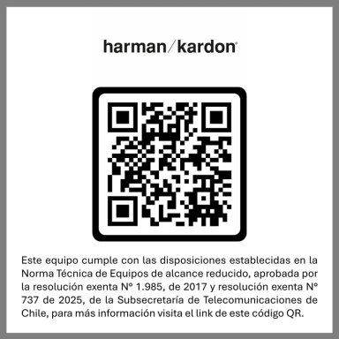 PARLANTE INALAMBRICO HARMAN KARDON GO + PLAY 3 GRIS - 8