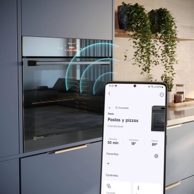 HORNO ELECTRICO EMPOTRABLE 80L FUNCION FREIDORA AIRE Y WI-FI - 2