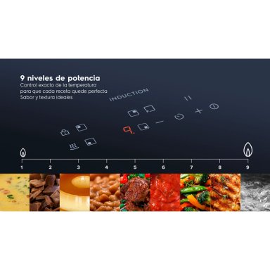 ENCIMERA INDUCCION 2 PLATOS ELE CTRICA EFFICIENT IE2TP - 13