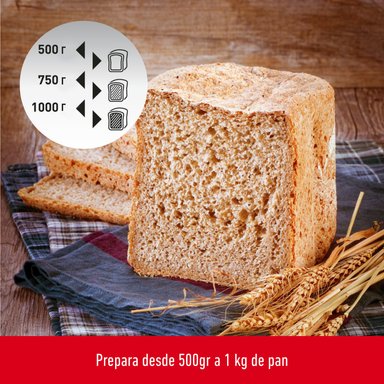 MÁQUINA DE PAN MOULINEX PAIN & DELICÉS - 5