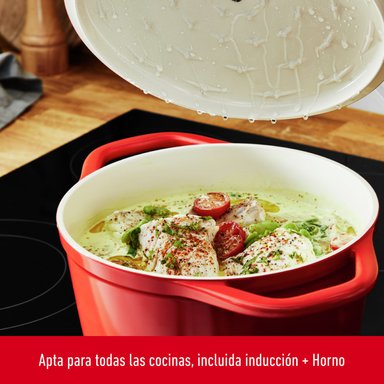 OLLA COCOTTE 20CM ROJA TEFAL - 3