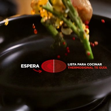 SARTEN 24 CM EXCELLENCE CERAMICA FUSIONCORE TEFAL - 5