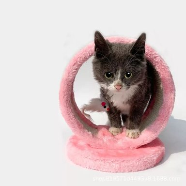 RASCADOR DE PIEL PARA GATOS Y MASCOTAS ROSADO - 1