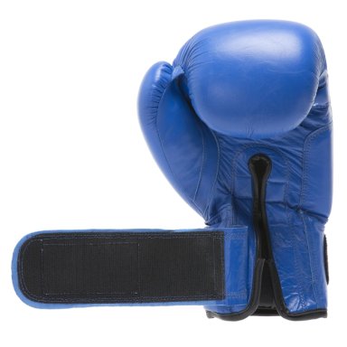 GUANTES BOXEO CUERO EVERLAST 9283546892 AMATEUR AZUL - 3
