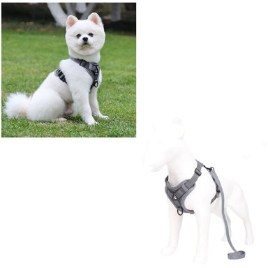 ARNE S PARA PERRO AJUSTABLE CON CORREA REFLECTANTES XL - 2