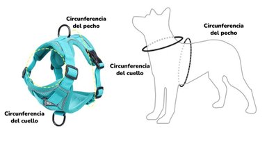 ARNE S PARA PERRO AJUSTABLE CON CORREA REFLECTANTES XL - 3