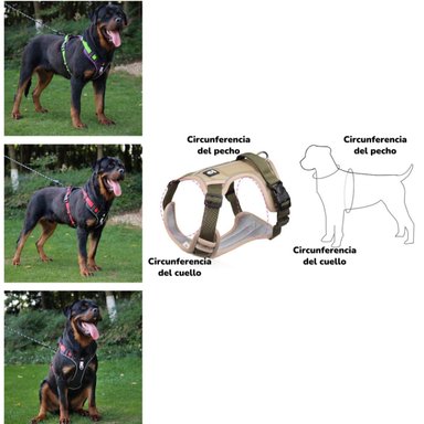 ARNE S PARA PERRO AJUSTABLE CON CORREA REFLECTANTES MIMI L - 3
