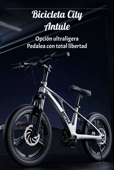 BICICLETA INFANTIL 7-10 AÑOS ARO 20 CITY LUBABYCAS - 2