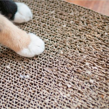 RASCADOR PLANO CAMON PARA GATOS 1UN - 3