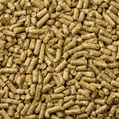 ALIMENTO SECO CONEJOS COBAYOS MAZURI 1 KG GUINEA TIMOTHY DIET - 6