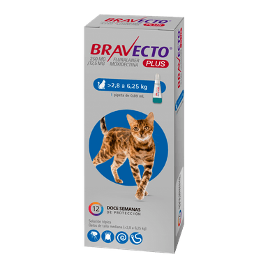 BRAVECTO GATOS PLUS 250 MG (2,8-6,25 KG) - 1