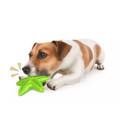 JUGUETE PERROS PARA MORDER ESTRELLA INTERACTIVO MASCOTAS - 3