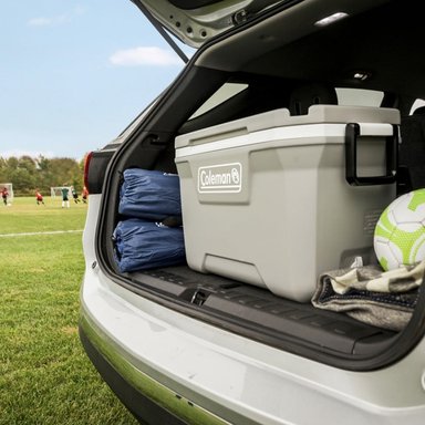 COOLER COLEMAN ROCK 316 52 QT / 49 LT - 8