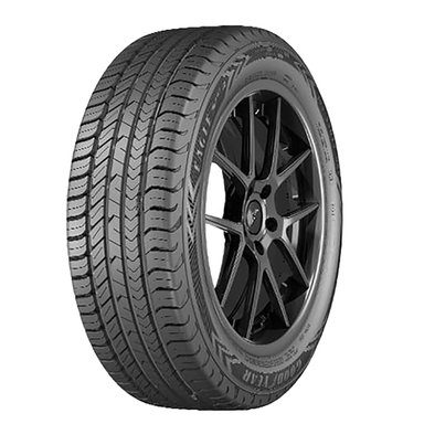 NEUMATICO GOODYEAR 205/55 R16 91V EAGLE SPORT 2 - 1