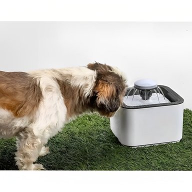 FUENTE DE AGUA BEBEDERO PARA GATOS Y PERROS DE 2.5 LITROS - 1