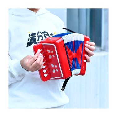 MINI ACORDEON DE JUGUETE PARA NIÑOS 7 NOTAS - 4