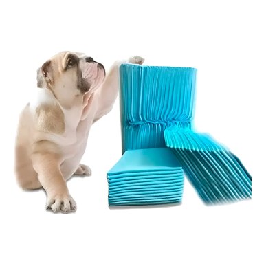 50 PAÑALES TIPO SABANILLAS MASCOTAS PERROS GATOS 60X45 CMS - 1