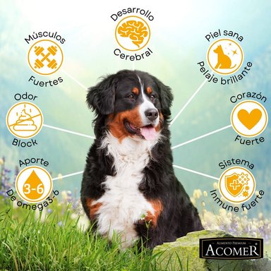 ALIMENTO SECO PERROS ADULTO ACOMER SABOR CARNE CEREALES 10 KG - 3
