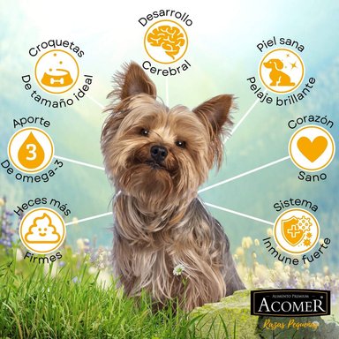 ALIMENTO SECO PERROS ADULTO ACOMER RAZA PEQUEÑA SABOR CARNE 10 KG - 2