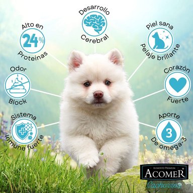 ALIMENTO SECO PERROS CACHORRO ACOMER SABOR CARNE 10 KG - 2