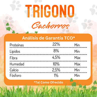 ALIMENTO SECO PERROS CACHORRO TRIGONO SABOR CARNE 10 KG - 2