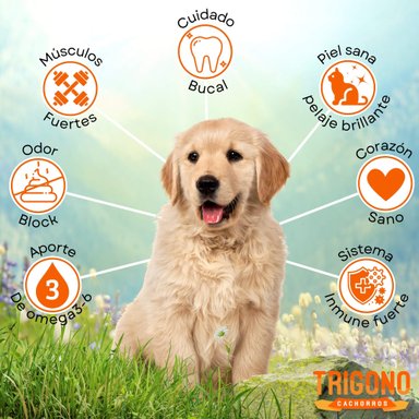 ALIMENTO SECO PERROS CACHORRO TRIGONO SABOR CARNE 10 KG - 3