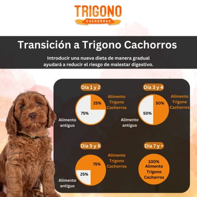 ALIMENTO SECO PERROS CACHORRO TRIGONO SABOR CARNE 10 KG - 4
