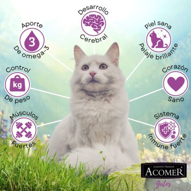 ALIMENTO SECO GATOS ADULTO ACOMER 10 KG - 4
