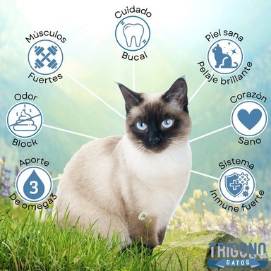 ALIMENTO SECO GATOS ADULTO TRIGONO 10 KG - 2