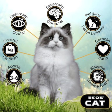 ALIMENTO SECO GATOS ADULTO EKOSCAT SABOR CARNE 10 KG - 2
