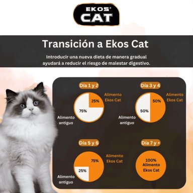 ALIMENTO SECO GATOS ADULTO EKOSCAT SABOR CARNE 10 KG - 6