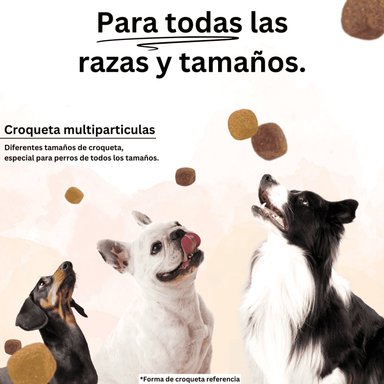 ALIMENTO SECO PERROS ADULTO ACOMER 9 KG NATURALS - 7