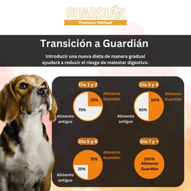 ALIMENTO SECO PERROS ADULTO GUARDIAN SABOR CARNE 16 KG GUARDIÁN - 4