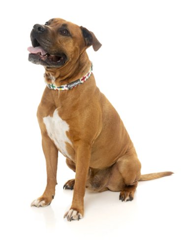COLLAR PERROS FUZZYARD JENGA M (32-50 CM) - 2