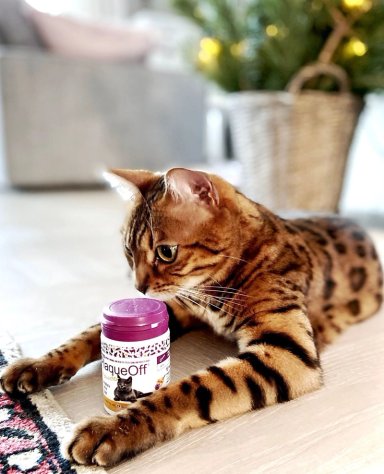 CUIDADO DENTAL GATOS PRODEN PLAQUEOFF POLVO LIMPIEZA DIENTES 40 GR - 6